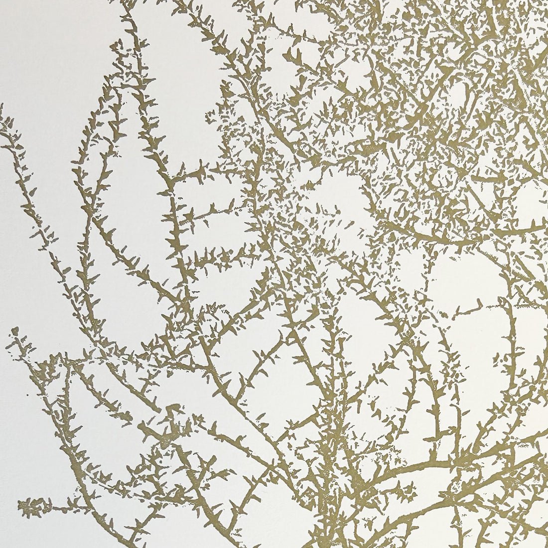 Tumbleweed Print